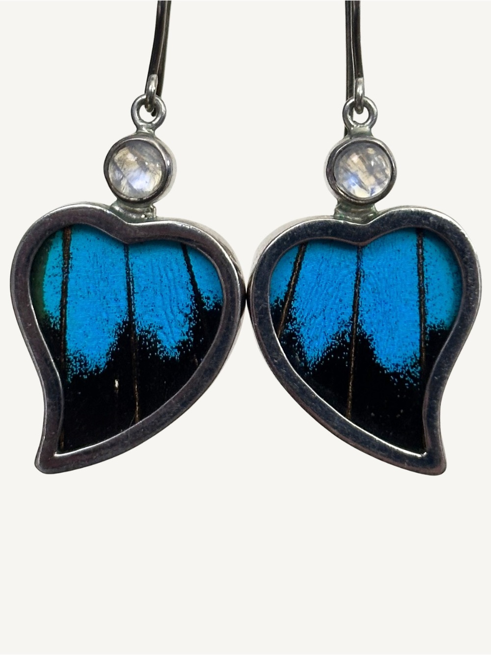 Real Butterfly Wing Sterling Silver & Rainbow Moonstone Earrings